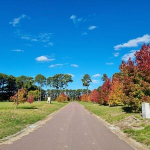 Lote en venta Pinares Country Club